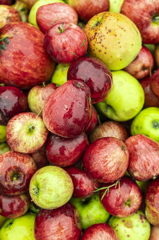 Kontostand trifft Klimabilanz